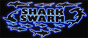 Shark Swarm